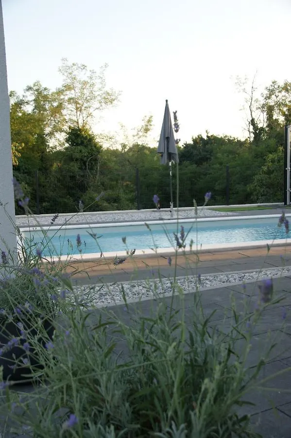Villa Lita Pazin